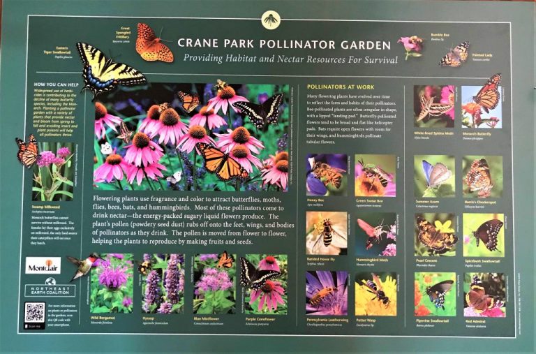 Unveiling Ceremony of Crane Park New Sign The Northeast Earth Coalition